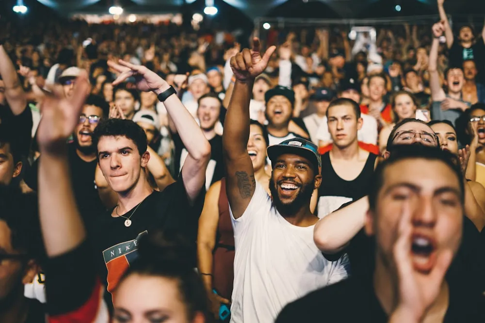 Público en un concierto